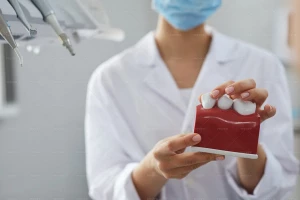 عکس دندانپزشکی که یک مدل دندان در دست دارد