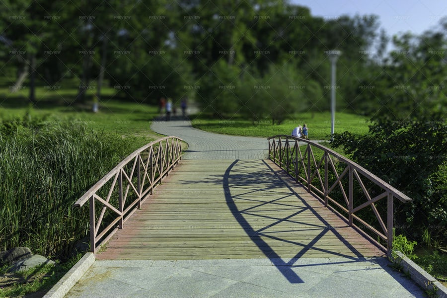 تصویر پل چوبی پارک در یک روز آفتابی
