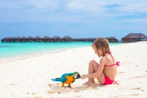 یک دختر بچه در حال بازی با طوطی کنار ساحل