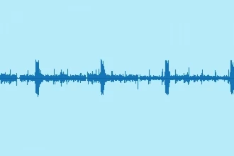 مجموعه 4 عددی افکت‌‌های صوتی آواز پرندگان جنگل