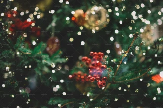 درخت تزئیین شده برای تعطیلات کریسمس