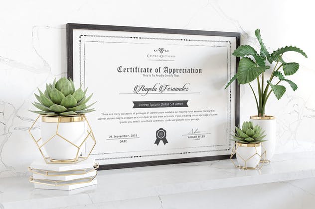 قالب لیسانس و گواهینامه معتبر